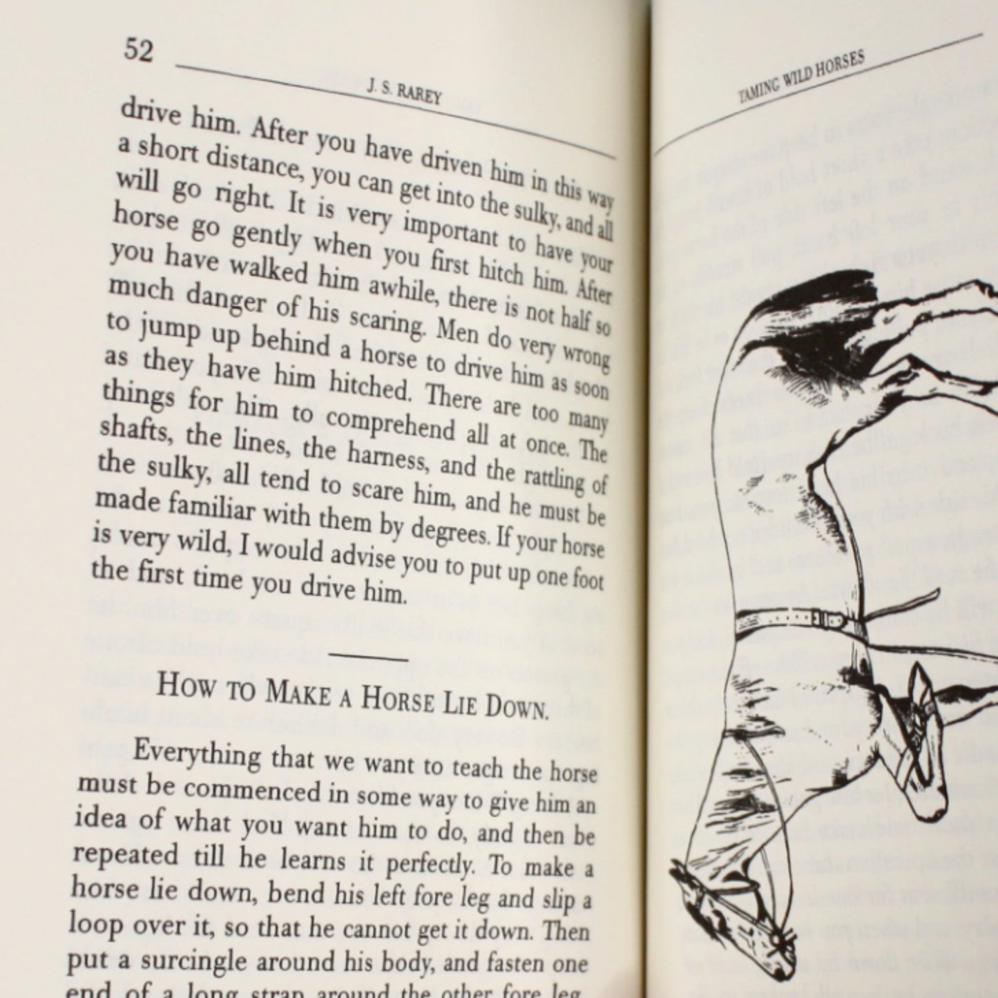 The Modern Art of Taming Wild Horses - Made in the USA