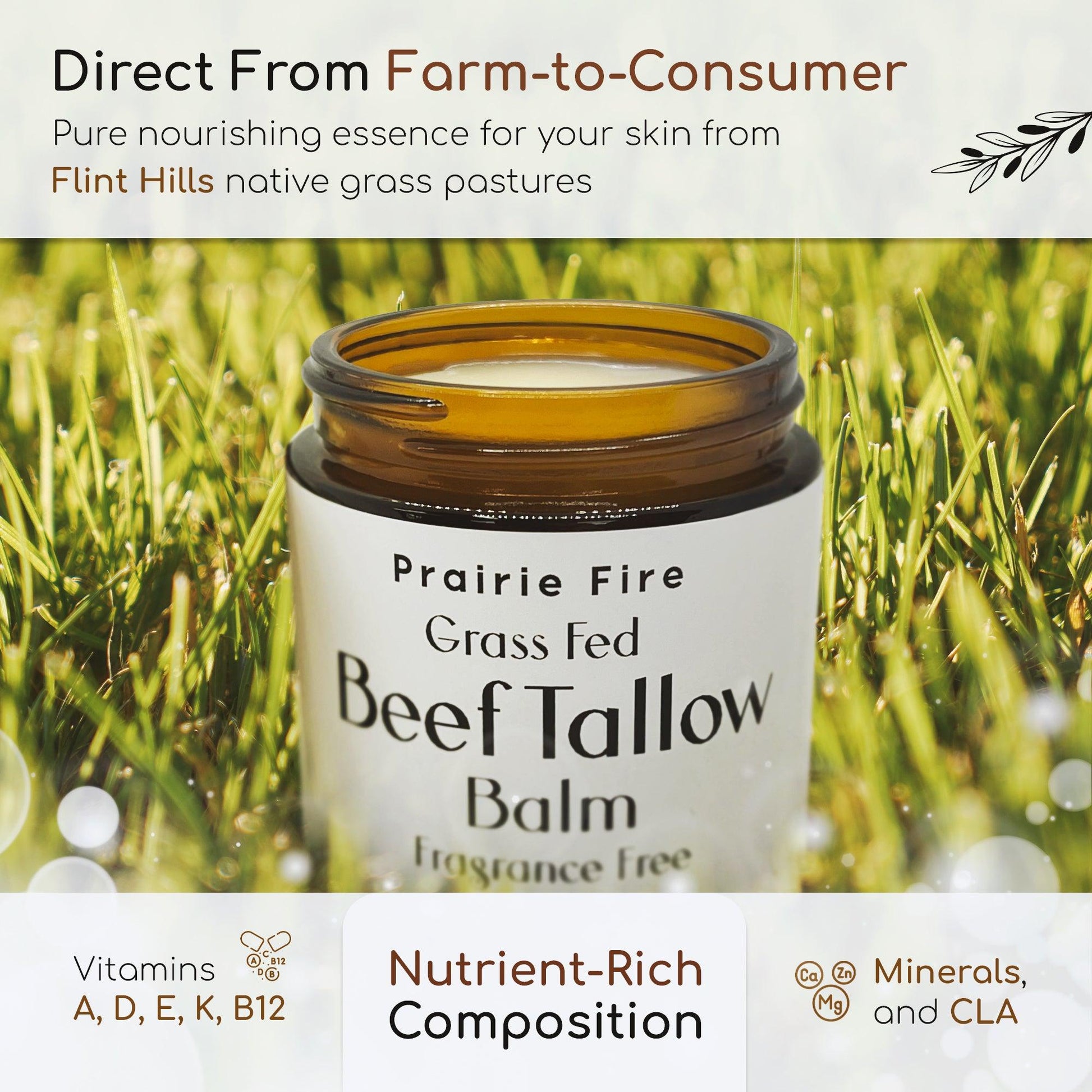 Grass Fed Beef Tallow Balm - 8 oz - Made in the USA