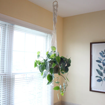 Macrame Boho Plant Hanger - Fancy - Made in the USA