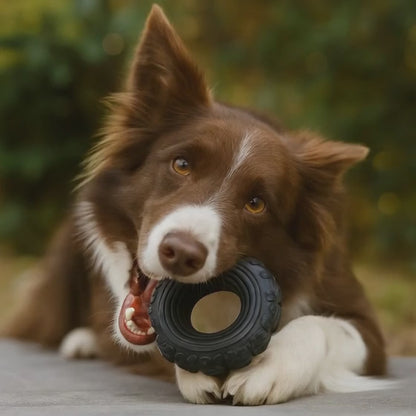 The Tire Reclaimed Rubber Dog Toy - Made in the USA