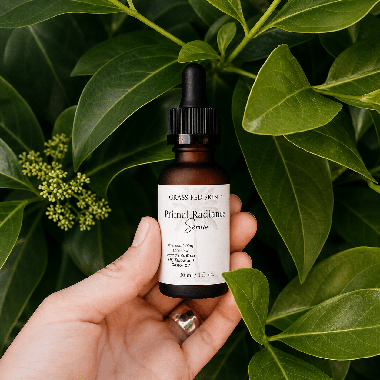 Grass Fed Skin Tallow Primal Radiance Serum
