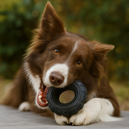 The Tire Reclaimed Rubber Dog Toy - Made in the USA