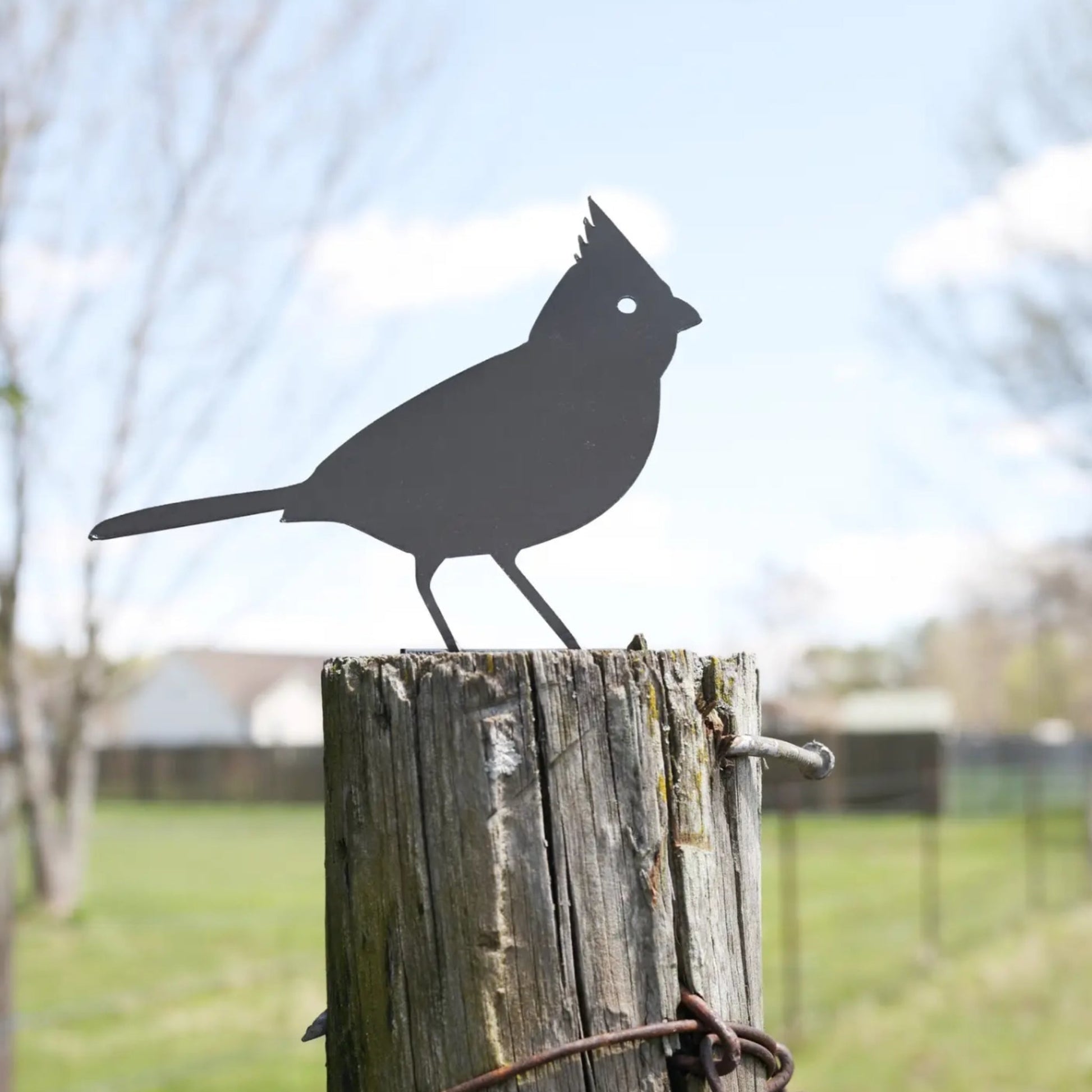 Cardinal Metal Bird Statue - Made in the USA